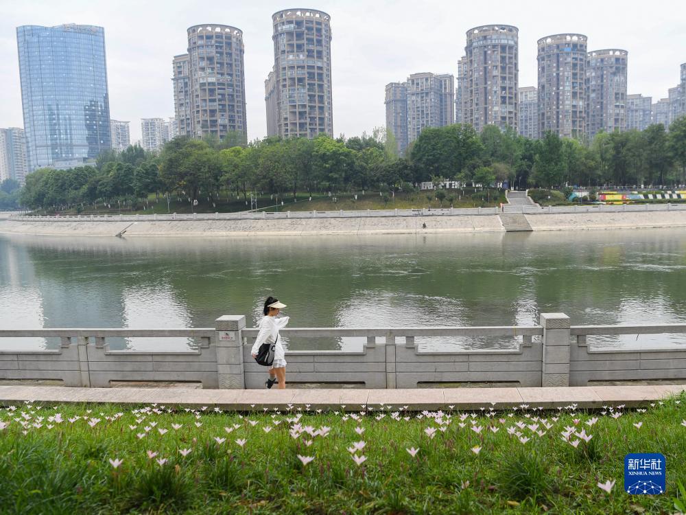 钱柜线上下载